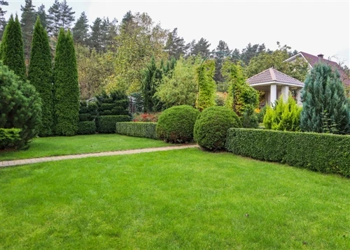 La rapida crescita degli attrezzi da giardino a batteria nel moderno settore ...